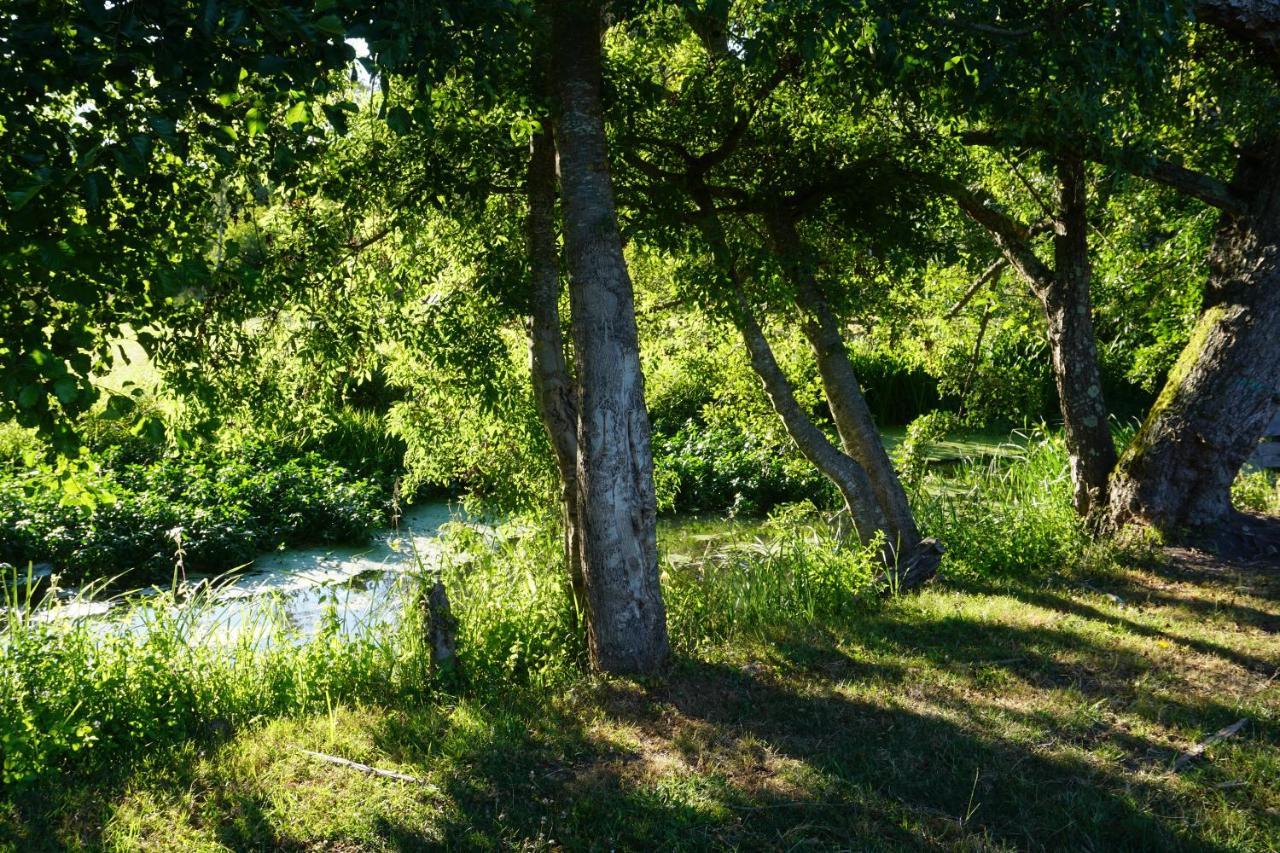 Le Moulin De Moquesouris - Chambres D'Hotes Et Table D'Hote Nazelles-Negron Dış mekan fotoğraf